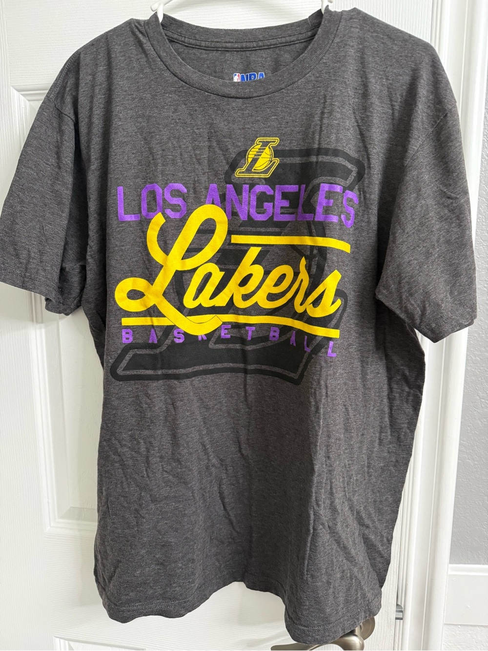 NBA Los Angeles Lakers Men's Gray Graphic T-Shirt